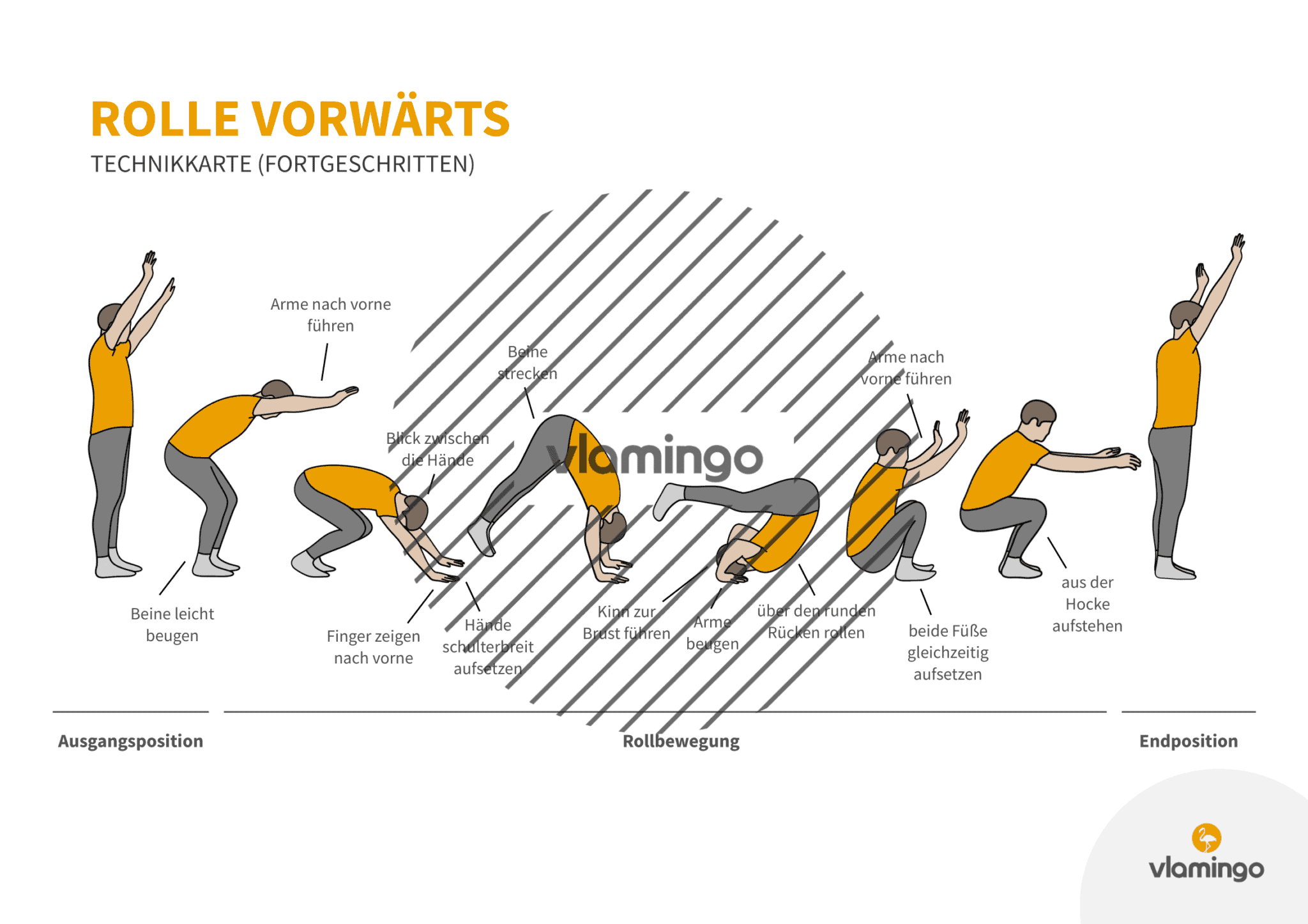 Rolle Vorw Rts Lernen Bungen Anleitung F R Den Sportunterricht