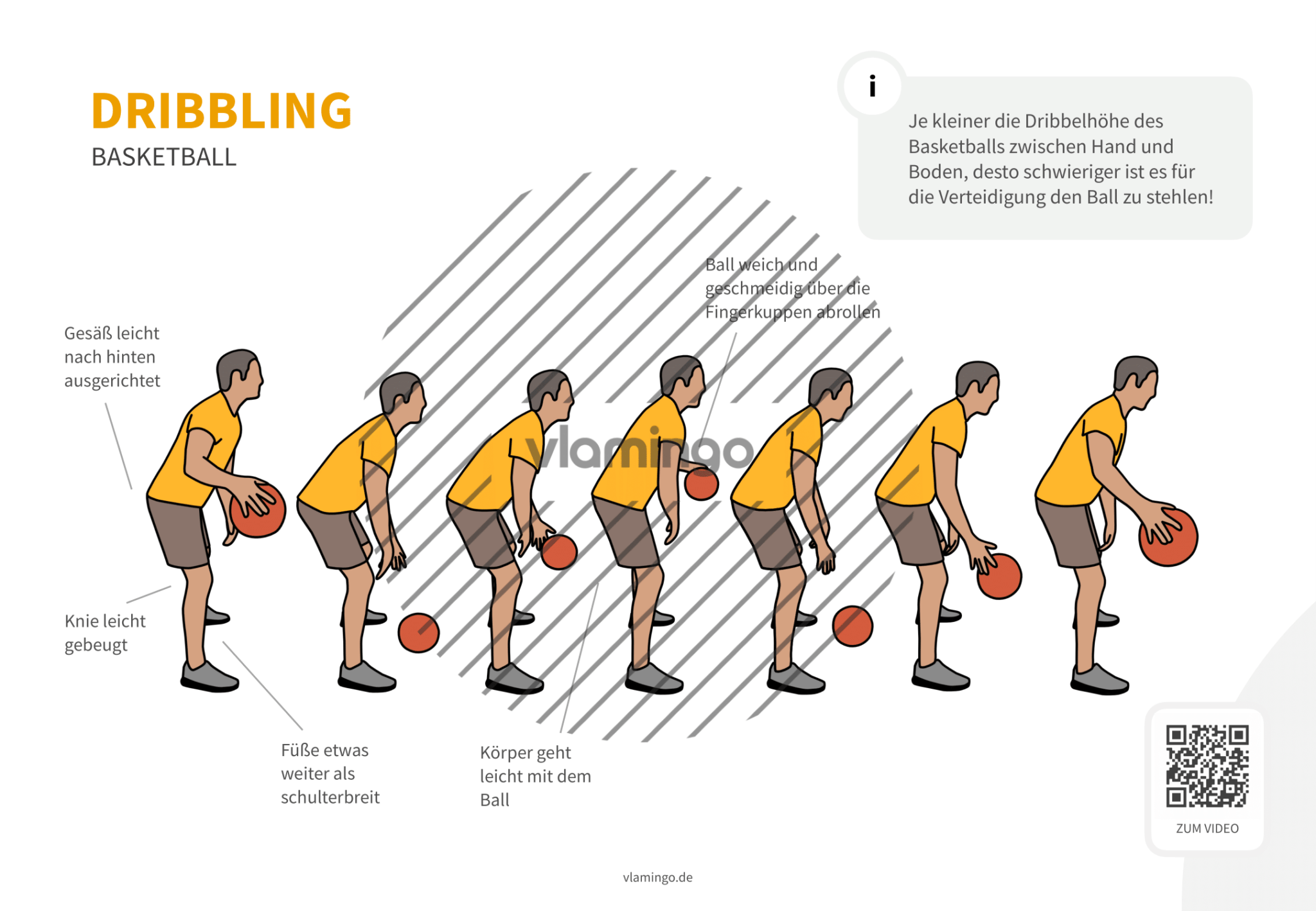 Dribbling / Dribbeln (Basketball): Bewegungsbeschreibung & Technik