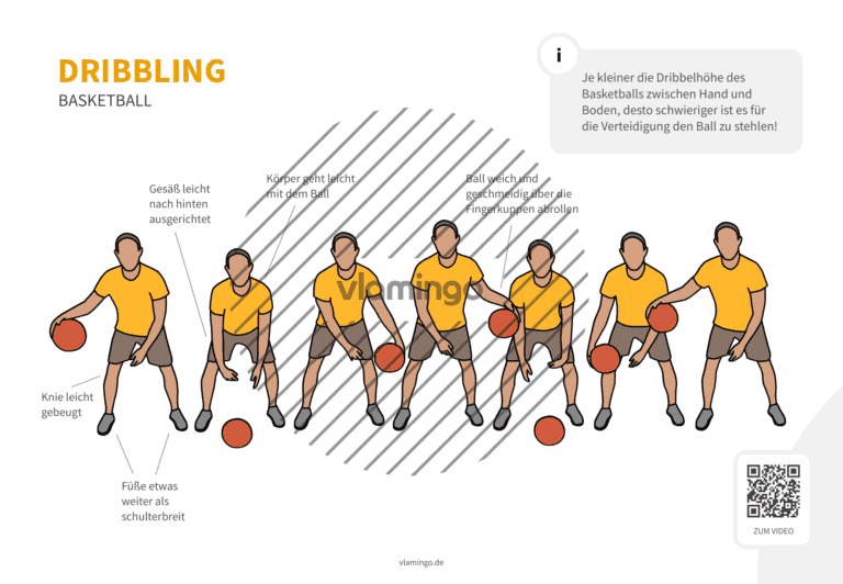 Dribbling / Dribbeln (Basketball): Bewegungsbeschreibung & Technik